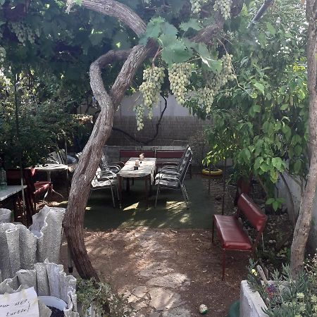 Apartmani Damir Kazija Pakostane Ngoại thất bức ảnh